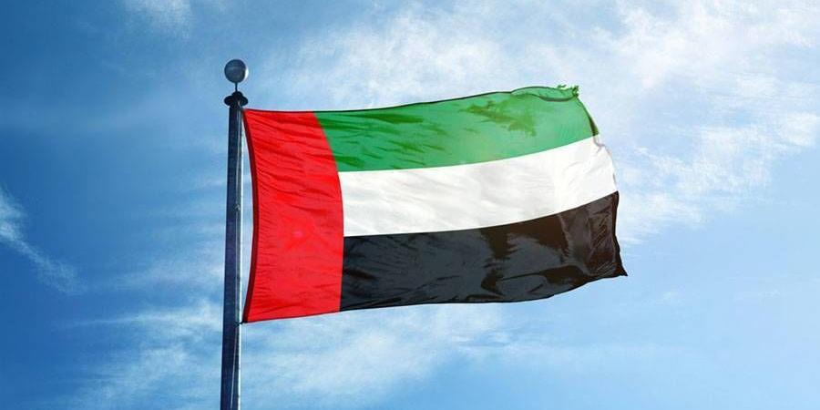 الإمارات: استهداف السفن في البحر الأحمر دليل على حدوث اضطرابات في الشرايين البحرية - الهلال الإخباري
