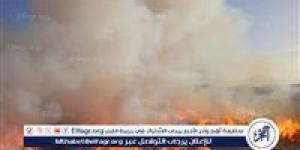 للمرة الثانية اليوم.. حريق هائل في مخزن كتان بالغربية - الهلال الإخباري
