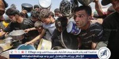 الأمم المتحدة تحذر: تأخير المساعدات إلى غزة ستكون له عواقب لا علاج لها - الهلال الإخباري