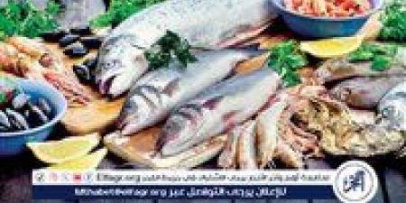 أسعار السمك اليوم السبت 10-5-2025 في محافظة قنا - الهلال الإخباري