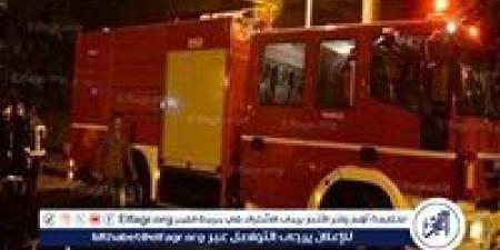 نفوق 110 رأس أغنام وتفحم 6 أشجار نخيل إثر حريق هائل  بالمنيا - الهلال الإخباري