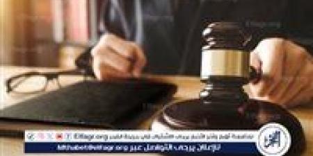 بدء أولى جلسات محاكمة المتهمين في قضية الطفل "مؤمن" بالمرج - الهلال الإخباري