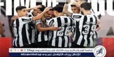 بوتافوجو يهزم إنترناسونال برباعية في الدوري البرازيلي - الهلال الإخباري