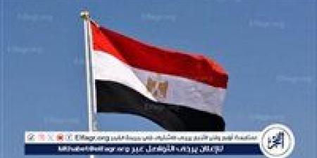 مصر تدين الهجوم الذي استهدف وحدة تابعة للجيش الإكوادوري - الهلال الإخباري