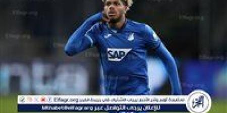 فلامنجو يُعلن عن صفقته الجديدة - الهلال الإخباري