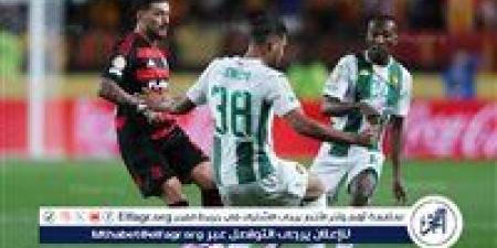 التشكيل المتوقع لمباراة فلامنجو وتشيلسي في كأس العالم للأندية - الهلال الإخباري