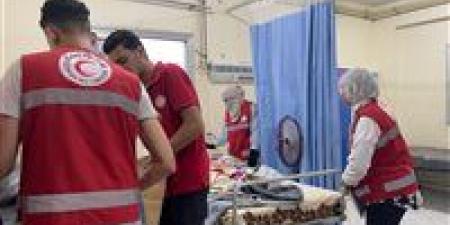 بتوجيهات من السيدة انتصار السيسي الهلال الأحمر المصري يقدّم الدعم النفسي والمادي لضحايا حادث الطريق الإقليمي بالمنوفية - الهلال الإخباري