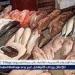 أسعار السمك اليوم الجمعة 9-5-2025 في الدقهلية - الهلال الإخباري