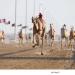 «الشاهينية» تحلق بكأس الأبكار في «ختامي الوثبة» - الهلال الإخباري