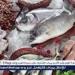 استقرار أسعار السمك والجمبري في سوق العبور اليوم السبت 10 مايو 2025 - الهلال الإخباري