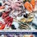 أسعار المأكولات البحرية والجمبري اليوم السبت 10-5-2025 في محافظة قنا - الهلال الإخباري