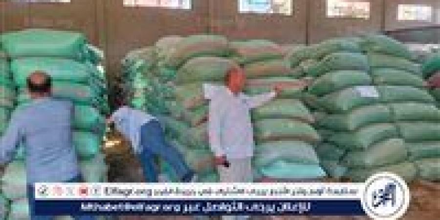 شون وصوامع المحافظة تستقبل 150 ألف طن من القمح ضمن موسم توريد 2025 - الهلال الإخباري