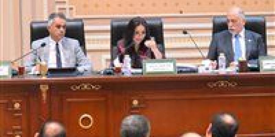 وزيرة التضامن الاجتماعي: "تكافل وكرامة" أصبح حقًا دستوريًا بصدور قانون الضمان الاجتماعي الجديد - الهلال الإخباري