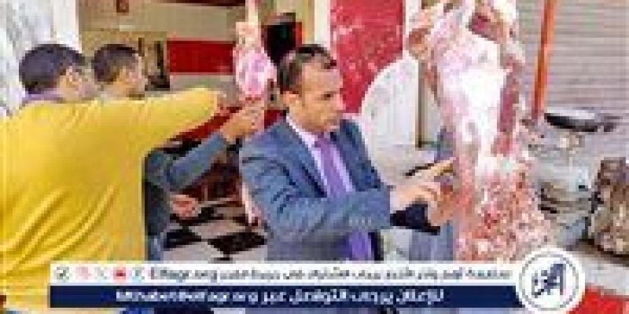 تموين سوهاج: تحرير 2054 محضر تموين متنوع خلال الشهر - الهلال الإخباري