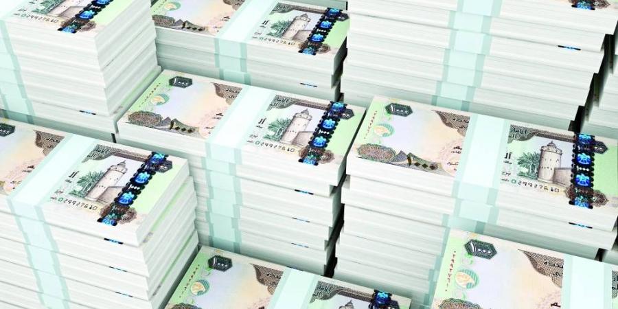 669 مليار درهم فائض الودائع للقروض بنهاية فبراير 2025 - الهلال الإخباري