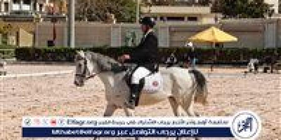 غدا.. إنطلاق نهائي بطولة الجمهورية للفروسية لقادرون باختلاف لذوي الهمم - الهلال الإخباري
