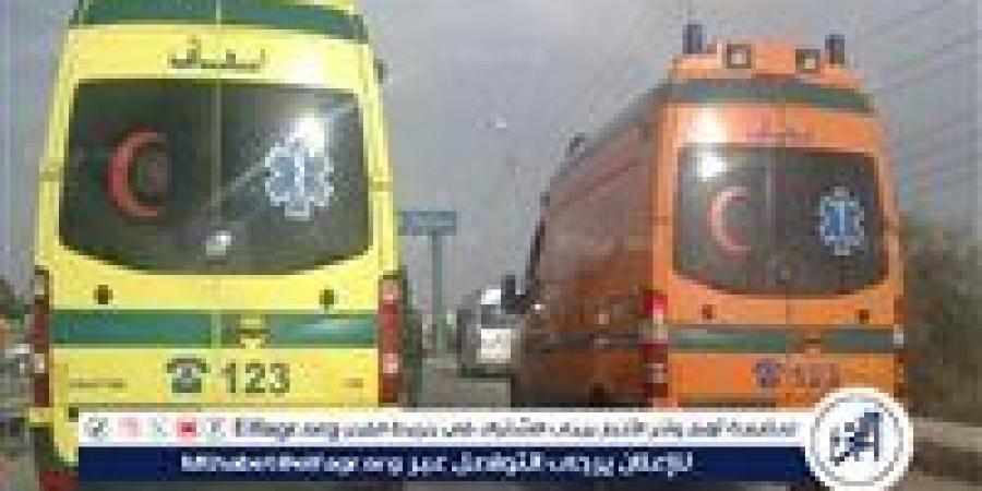 دماء على الأسفلت.. حبس المتهمة بالتسبب في مصرع شخص بالشروق - الهلال الإخباري
