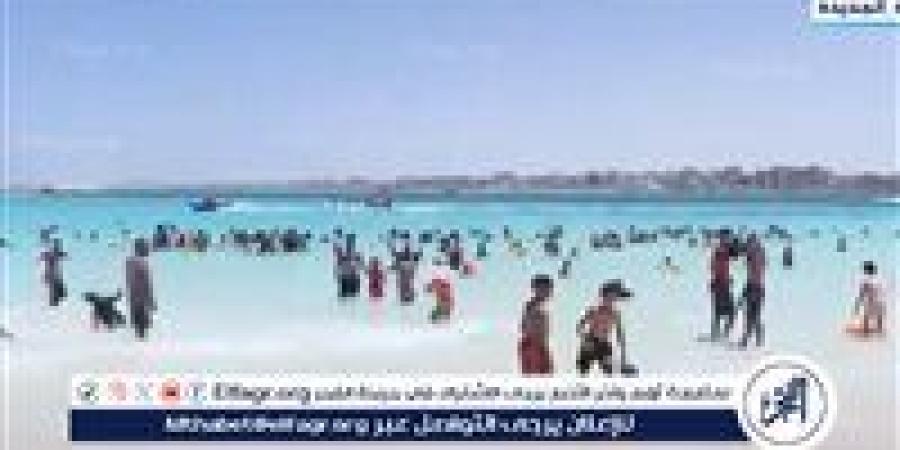 الري تكشف تفاصيل جديدة عن عمل لجنة تراخيص الشواطىء - الهلال الإخباري