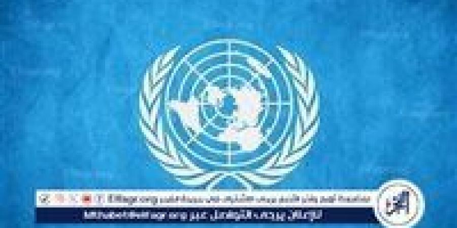 الأمم المتحدة: غوتيريش لن يسافر إلى إسطنبول للمشاركة في مفاوضات روسيا وأوكرانيا - الهلال الإخباري