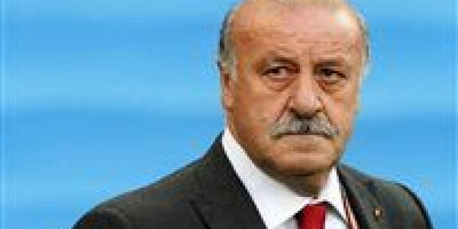 ديل بوسكي يشيد بعمل أنشيلوتي في ريال مدريد - الهلال الإخباري