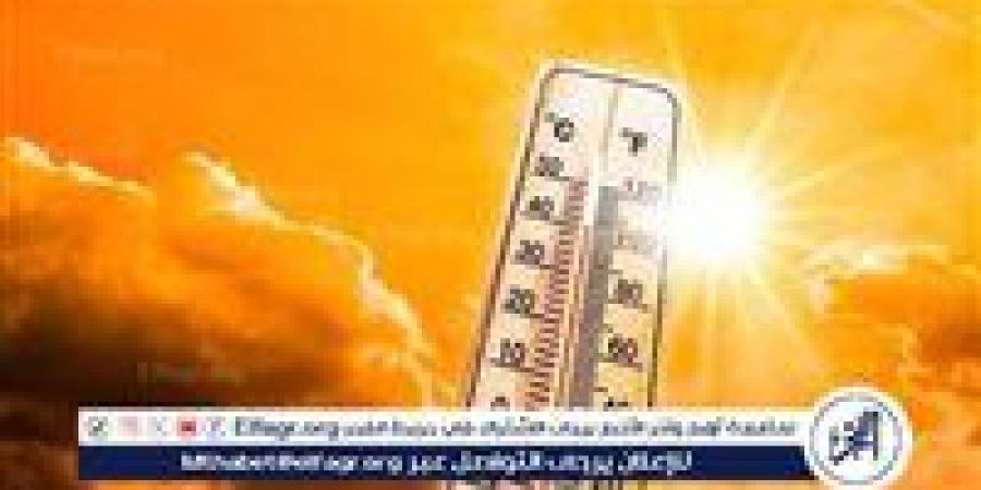 عاجل.. إصابة 22 طالبة بحالات اغماء بكلية تربية رياضية جامعة طنطا - الهلال الإخباري