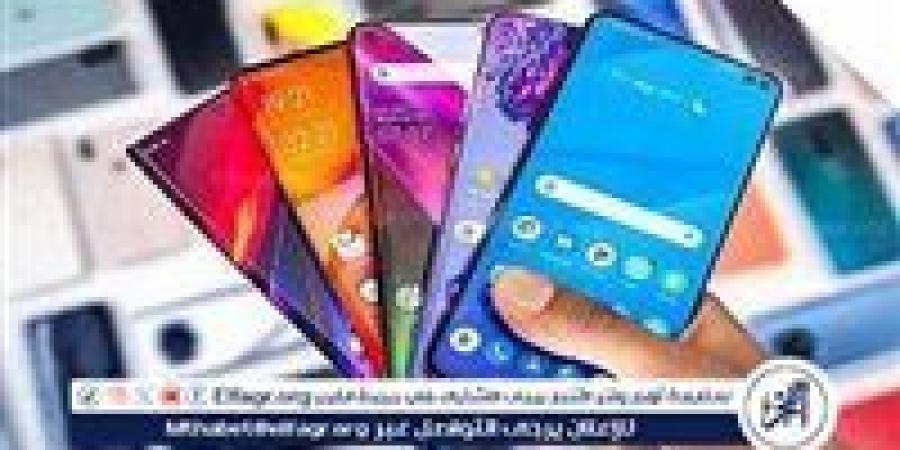 غرفة الجيزة: سوق المحمول مرتبك بسبب خلل تطبيق الرسوم الجمركية على الواردات - الهلال الإخباري