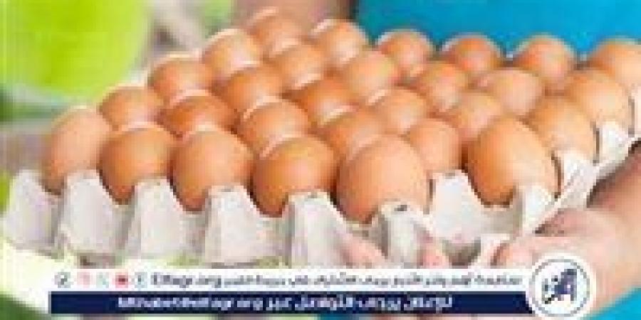 أسعار طبق البيض اليوم الاثنين 19-5-2025 في قنا - الهلال الإخباري