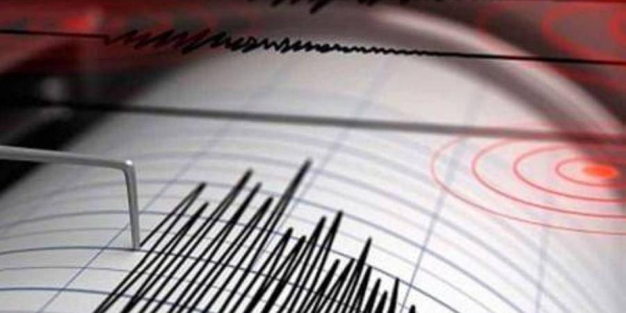 زلزال بقوة 4.6 درجة يضرب ولاية «نيو ساوث ويلز» الأسترالية - الهلال الإخباري