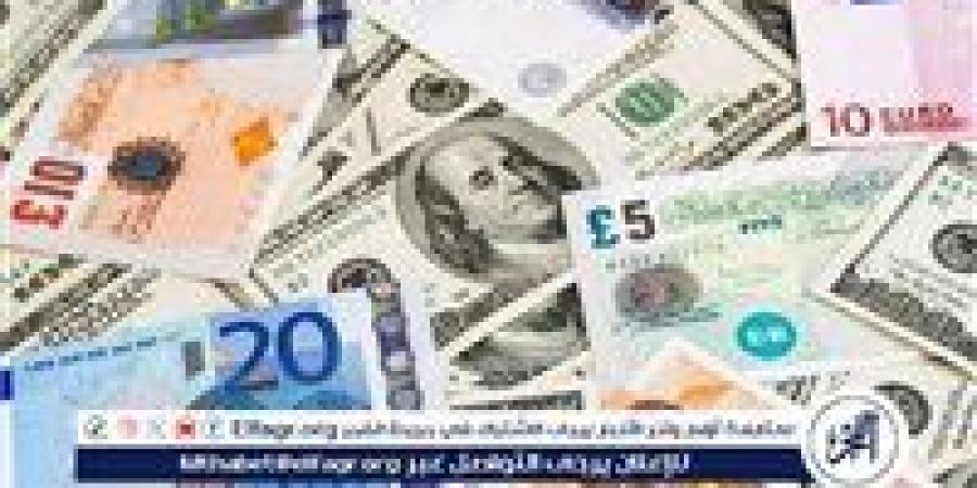 متوسط أسعار العملات الأجنبية أمام الجنيه اليوم 28/5/2025 في البنك المركزي المصري - الهلال الإخباري