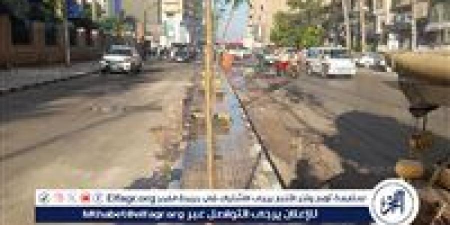 محافظ الدقهلية: رفع 565 طن مخلفات بلدية وتجمعات قمامة في حملة نظافة بالمنصورة - الهلال الإخباري