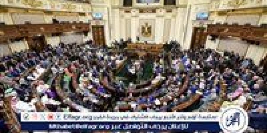 تفاصيل موافقة مجلس النواب على اتفاقية خطوط جوية منتظمة بين مصر ونيوزلندا - الهلال الإخباري