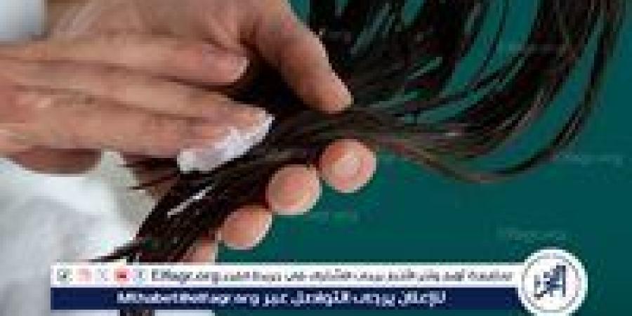 في فصل الصيف..كيف تحافظين على صحة شعرك وسط حرارة الشمس ورطوبة الجو؟ - الهلال الإخباري