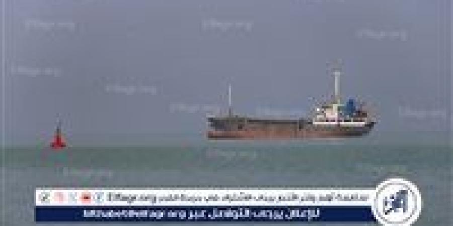 "رويترز": سفن قرب مضيق هرمز تتظاهر بأنها "روسية" أو "صينية" لتفادي الهجمات - الهلال الإخباري