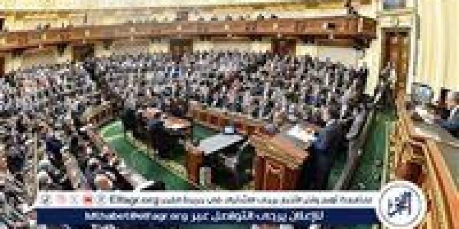 الحكومة تخطر اللجان النوعية بـ "النواب" بسحب مشروع قانون تنظيم المراكز الطبية المتخصصة - الهلال الإخباري